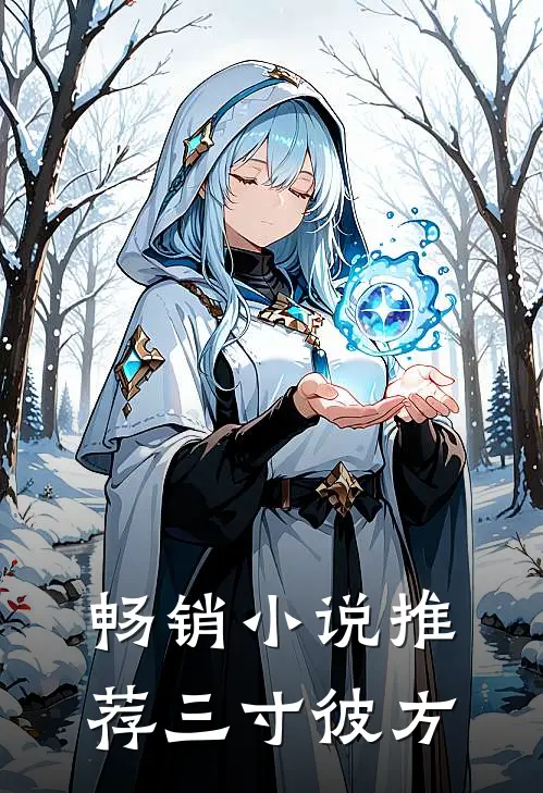 畅销小说推荐三寸彼方