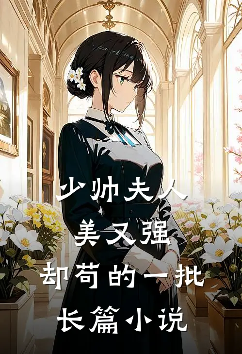 少帅夫人美又强，却苟的一批长篇小说
