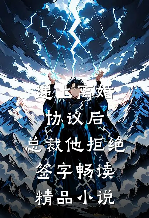 递上离婚协议后，总裁他拒绝签字畅读精品小说