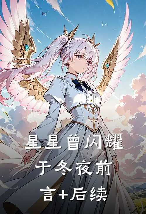 星星曾闪耀于冬夜前言+后续