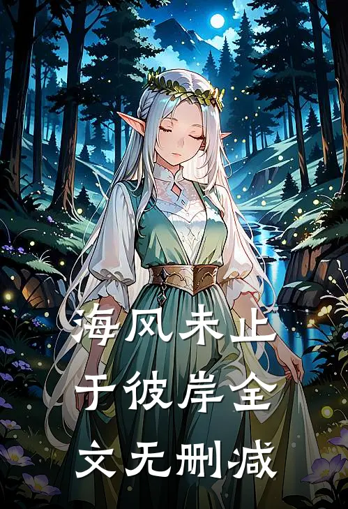 海风未止于彼岸全文无删减