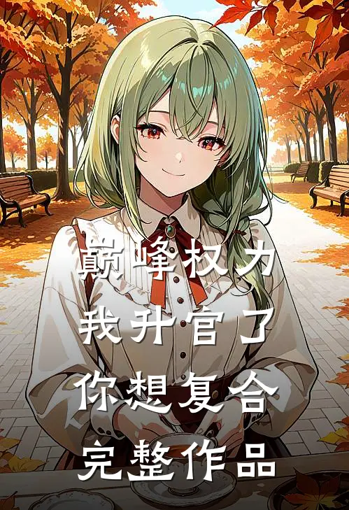 巅峰权力：我升官了你想复合完整作品