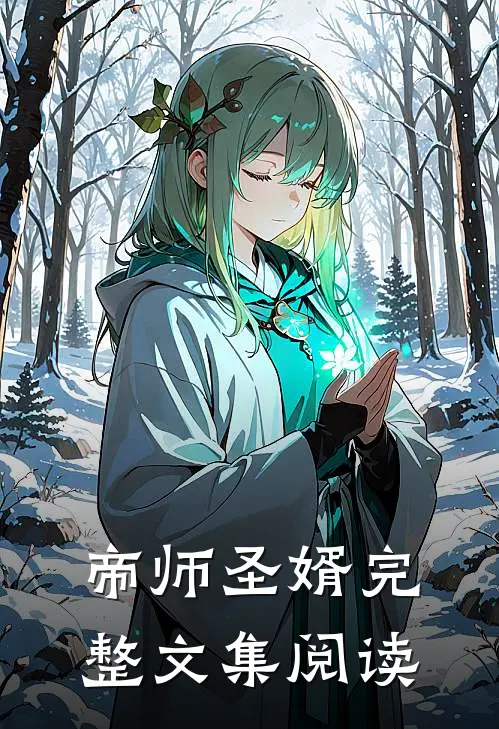 帝师圣婿完整文集阅读