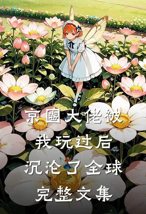 京圈大佬被我玩过后，沉沦了全球完整文集