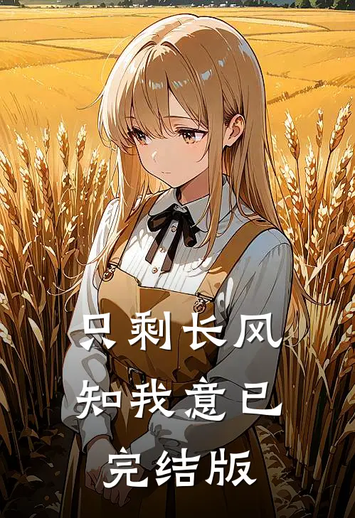 只剩长风知我意已完结版