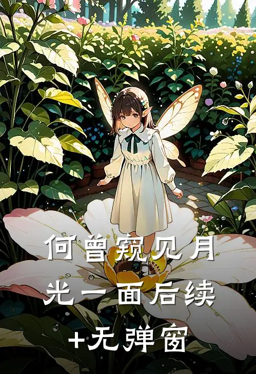 何曾窥见月光一面后续+无弹窗