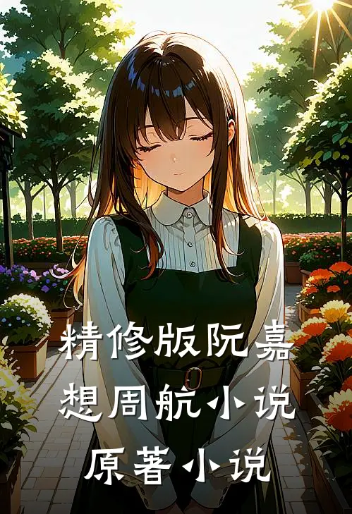 精修版阮嘉想周航小说原著小说