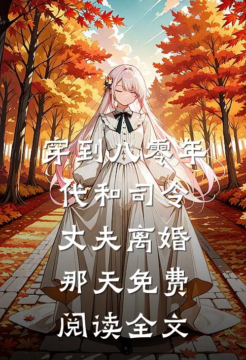 穿到八零年代和司令丈夫离婚那天免费阅读全文