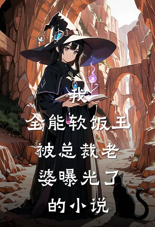 我，全能软饭王，被总裁老婆曝光了的小说