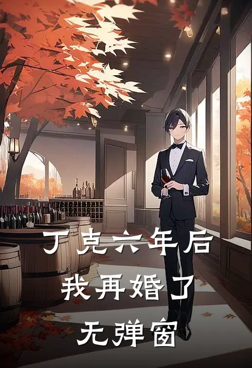 丁克六年后，我再婚了无弹窗