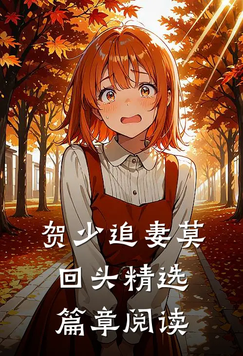 贺少追妻莫回头精选篇章阅读