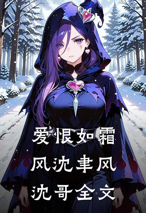 爱恨如霜风沈聿风沈哥全文