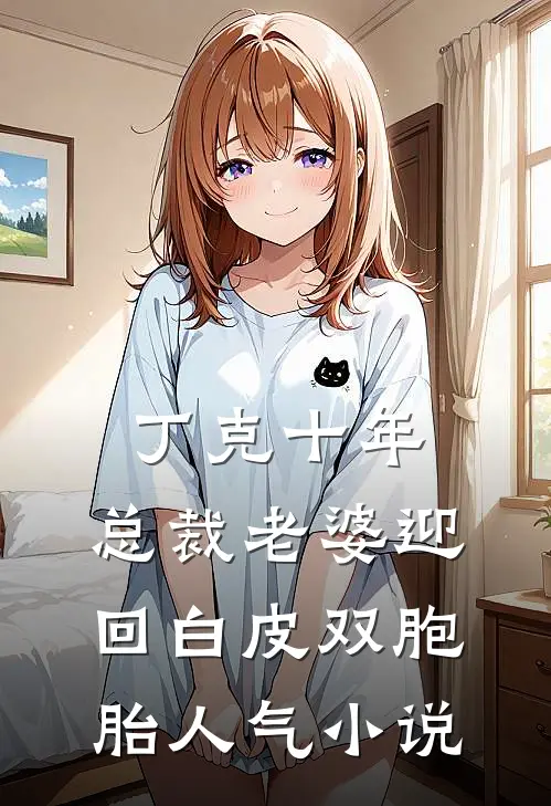 丁克十年，总裁老婆迎回白皮双胞胎人气小说