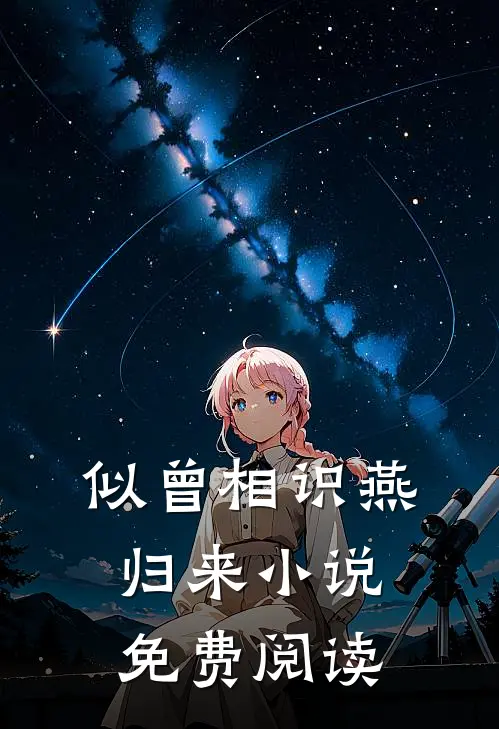 似曾相识燕归来小说免费阅读