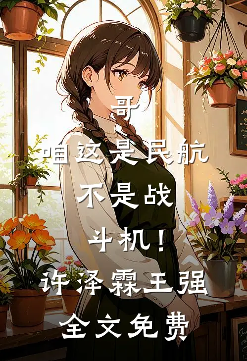 哥，咱这是民航，不是战斗机！许泽霖王强全文免费