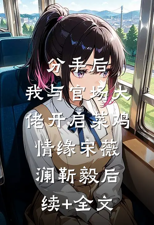 分手后，我与官场大佬开启菜鸡情缘宋薇澜靳毅后续+全文