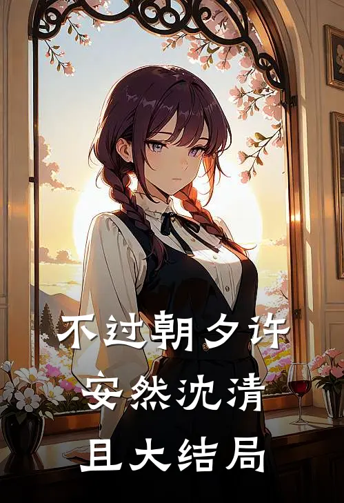 不过朝夕许安然沈清且大结局