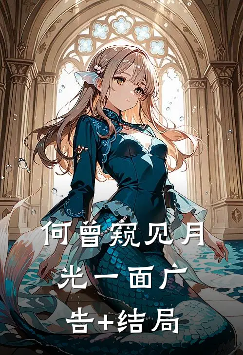 何曾窥见月光一面广告+结局