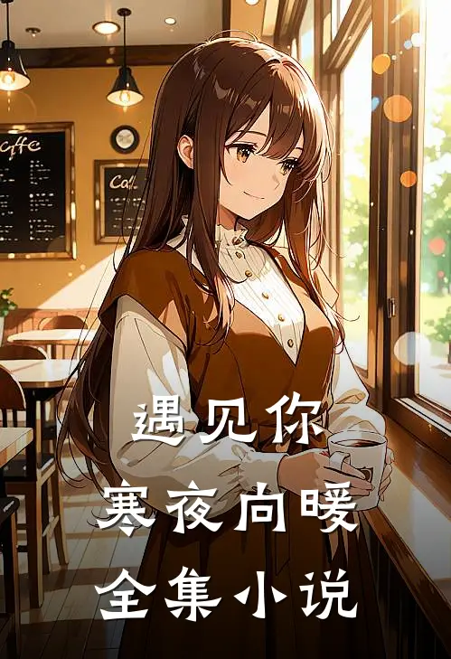遇见你，寒夜向暖全集小说
