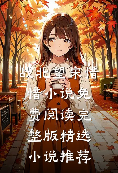 战北望宋惜惜小说免费阅读完整版精选小说推荐