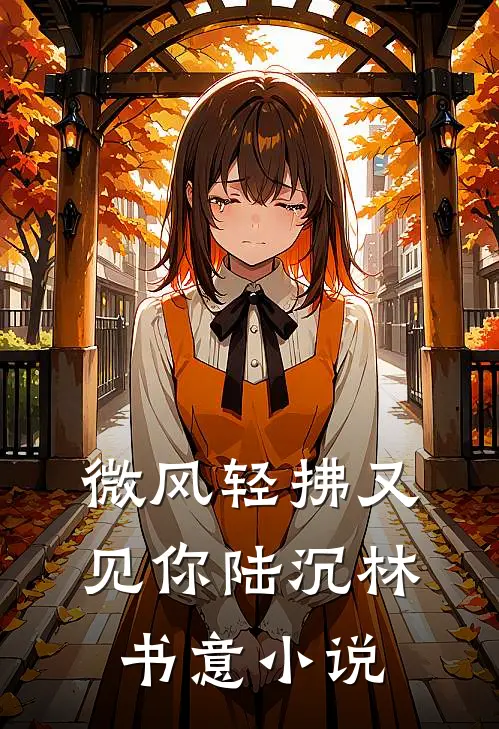 微风轻拂又见你陆沉林书意小说