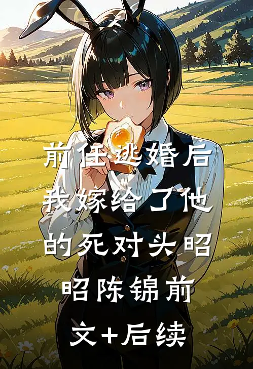前任逃婚后，我嫁给了他的死对头昭昭陈锦前文+后续