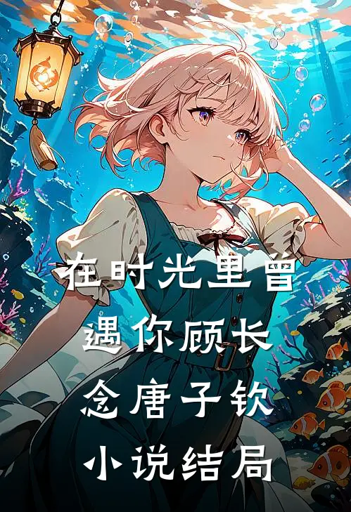 在时光里曾遇你顾长念唐子钦小说结局