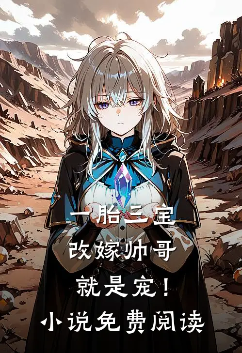 一胎三宝，改嫁帅哥就是宠！小说免费阅读