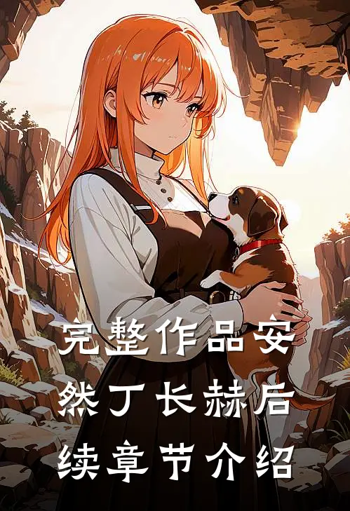 完整作品安然丁长赫后续章节介绍