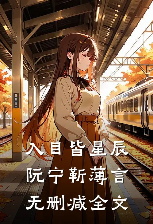 入目皆星辰阮宁靳薄言无删减全文