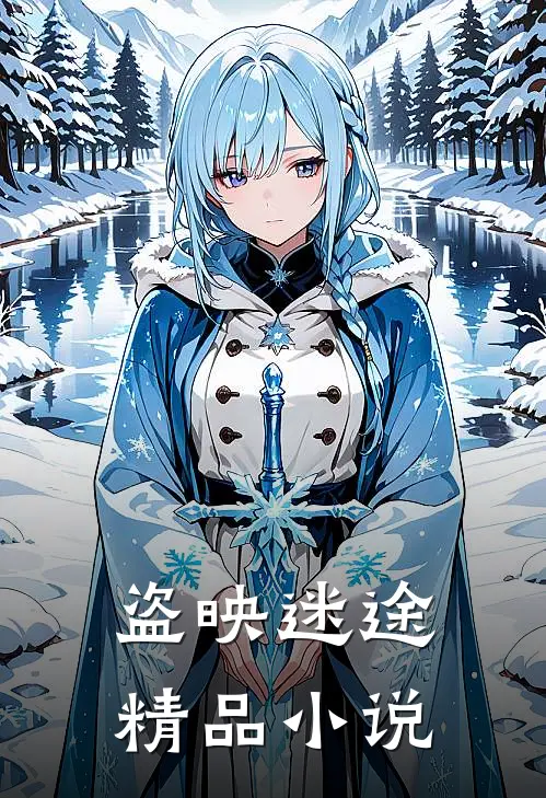 盗映迷途精品小说