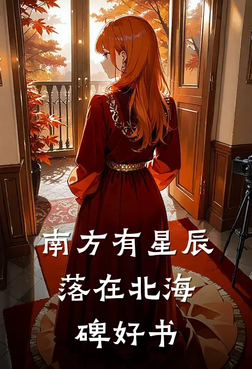 南方有星辰，落在北海碑好书