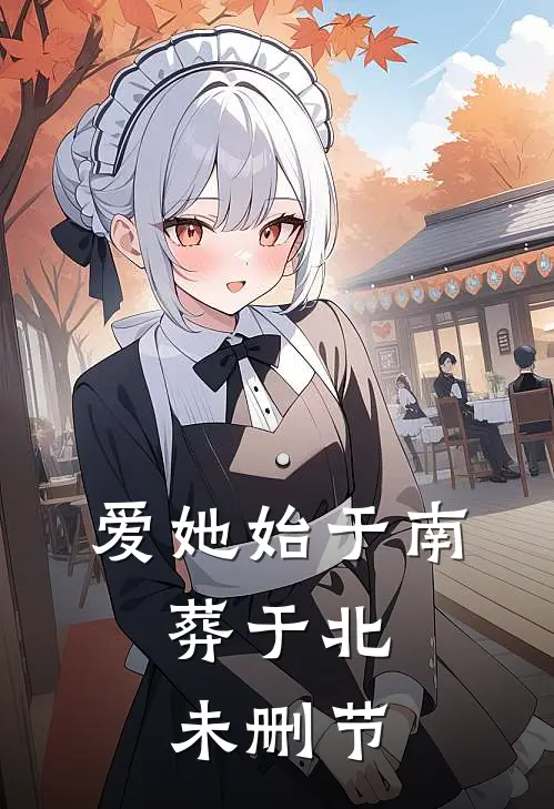 爱她始于南，葬于北未删节