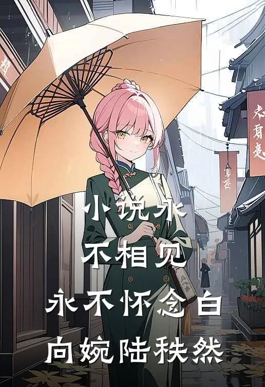 小说永不相见，永不怀念(白向婉陆秩然)