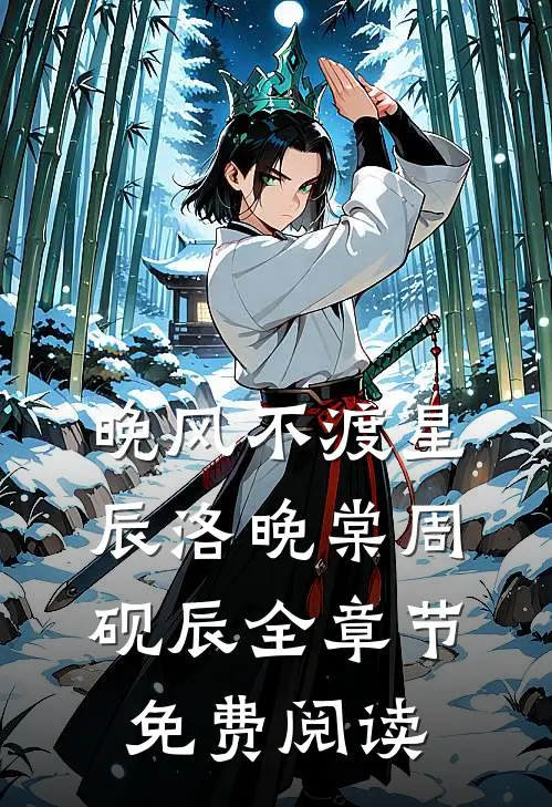 晚风不渡星辰洛晚棠周砚辰全章节免费阅读