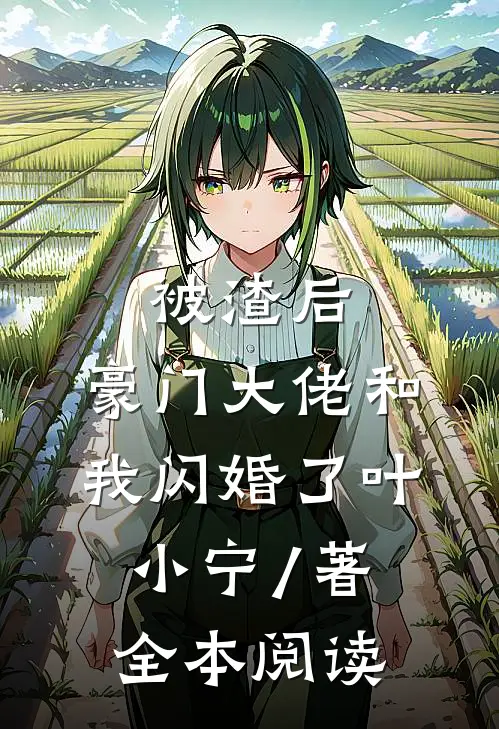 被渣后,豪门大佬和我闪婚了 叶小宁 / 著全本阅读