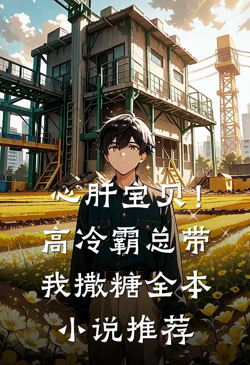 心肝宝贝！高冷霸总带我撒糖全本小说推荐