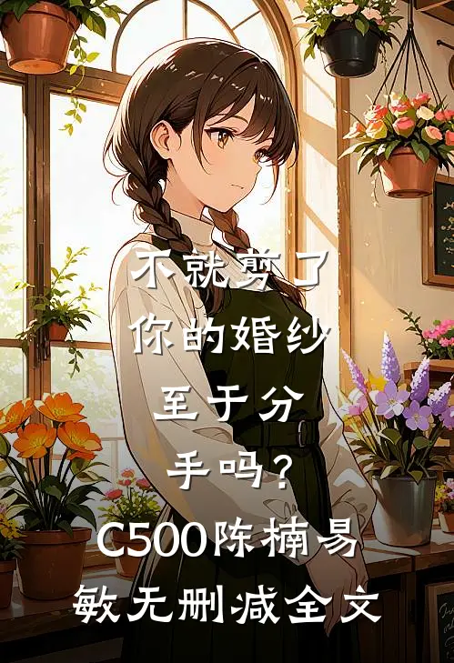 不就剪了你的婚纱，至于分手吗？C500陈楠易敏无删减全文