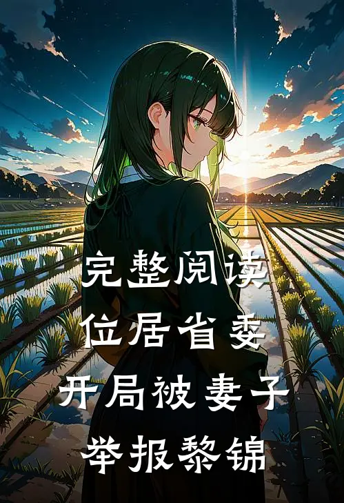 完整阅读位居省委,开局被妻子举报黎锦