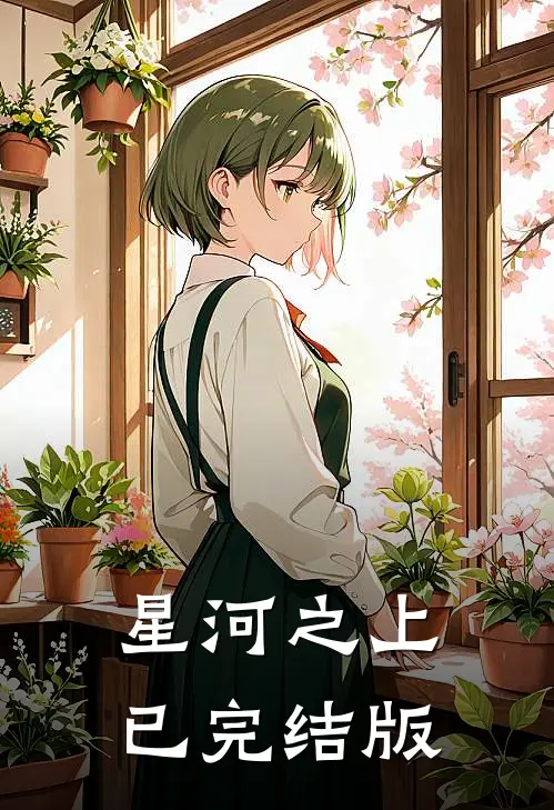 星河之上已完结版