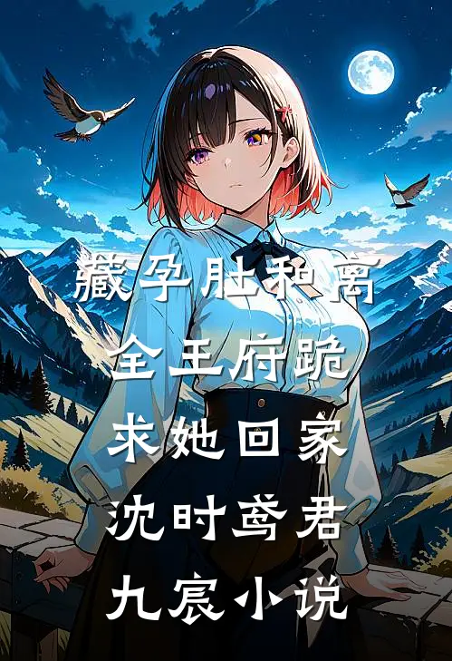 藏孕肚和离，全王府跪求她回家沈时鸢君九宸小说
