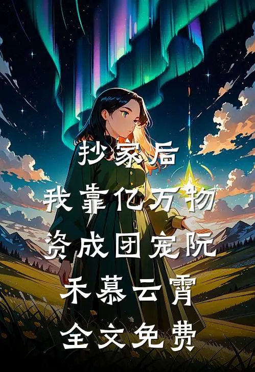 抄家后，我靠亿万物资成团宠阮禾慕云霄全文免费
