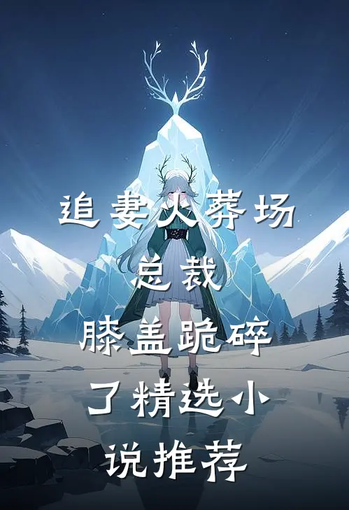 追妻火葬场：总裁，膝盖跪碎了精选小说推荐