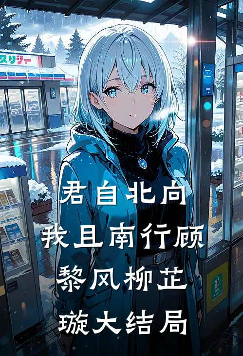 君自北向,我且南行顾黎风柳芷璇大结局