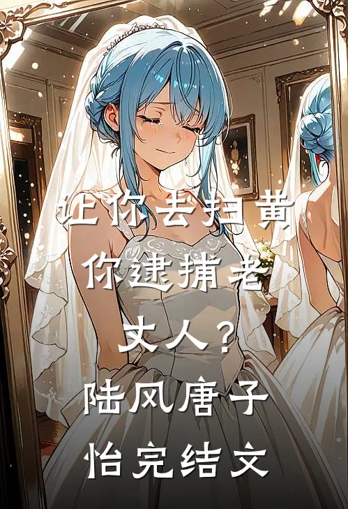 让你去扫黄，你逮捕老丈人？陆风唐子怡完结文