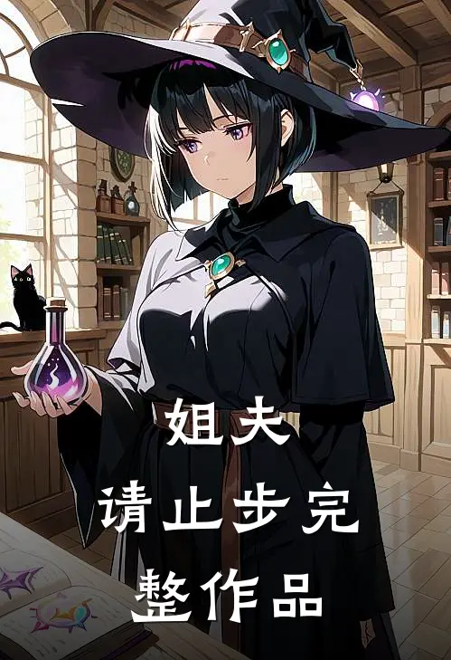 姐夫，请止步完整作品