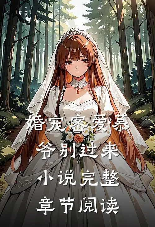 婚宠密爱慕爷别过来小说完整章节阅读