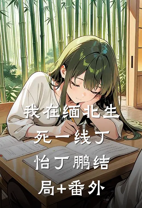 我在缅北生死一线丁怡丁鹏结局+番外