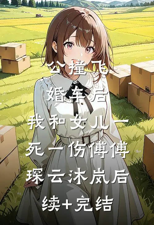 公撞飞婚车后，我和女儿一死一伤傅傅琛云沐岚后续+完结