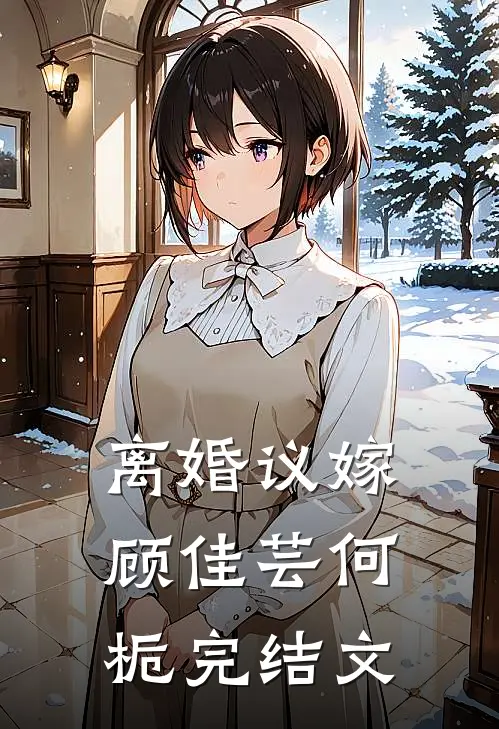 离婚议嫁顾佳芸何栀完结文